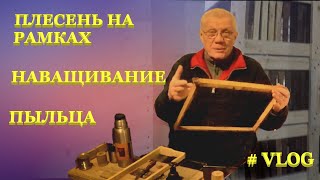 Весенние работы на пасеке Как очистить рамки от плесени