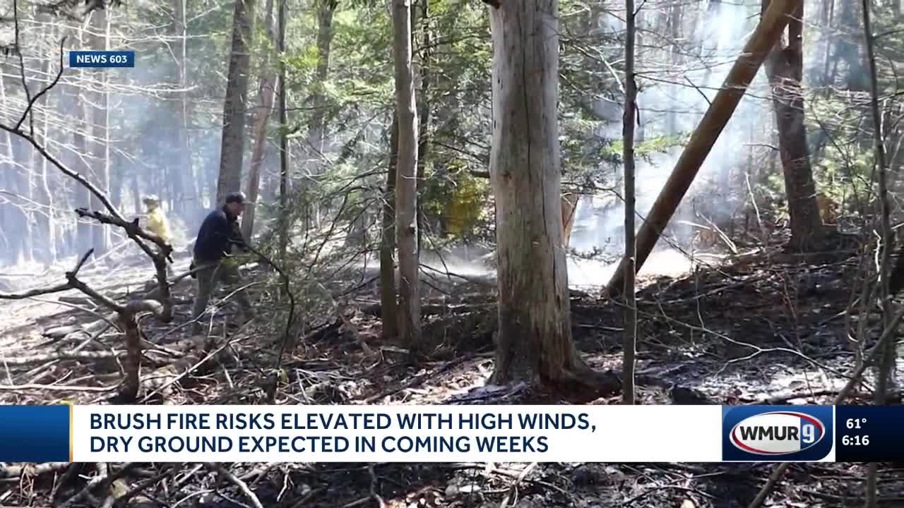 Brush fire risks elevated with high winds, dry ground expected in ...