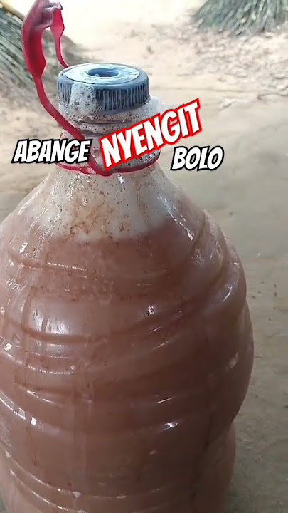 TOAK TUBAN - MERAHNYA NENDANG BOSQUE #toaktuban #tuban #tubanjatim #tubanviral #tubankeren