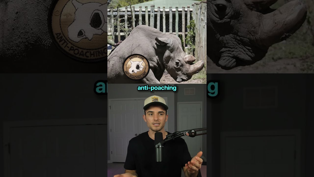 Animals That Came Back From Extinction