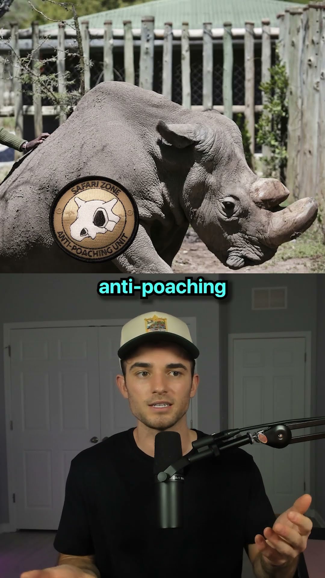 Animals That Came Back From Extinction