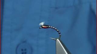 Tying a UV Quilled Buzzer by Davie McPhail