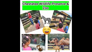 Chestatee Wildlife Preserve & Zoo|Family Adventures