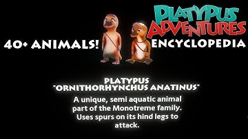 Encyclopedia 📖 - (Unreal Engine 4) | Platypus Adventures