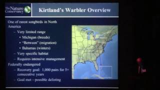 Saving the Kirtland's Warbler