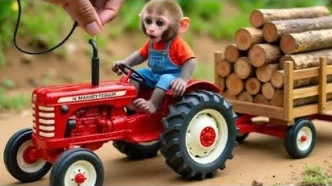 Monkey NaNa drives a tractor loaded with firewood through muddy road and uses her wits repair road  