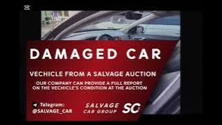 YV1FSA8BDG2395707. volkswagen