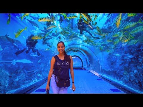 Dubai Aquarium & Underwater Zoo 2020| Shark Dive Close Encounter| The Travel Psycho Videos |