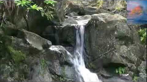 من سورة الإنفطار _ القارئ الحاج عامر الكاظمي