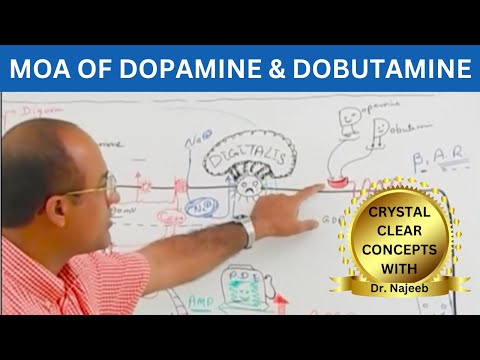Dopamine | Dobutamine