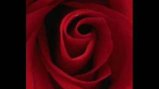 Kadir Ipek - Yalanci