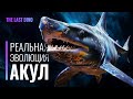 Реальная Эволюция Акул. От мелкой рыбы, до Мегалодона