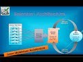 What is Selenium WebDriver Architecture?