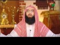 8 تكملة قصة أصحاب الأخدود أروع القصص نبيل العوضي 8 تكملة قصة أصحاب الأخدود أروع القصص نبيل العوضي