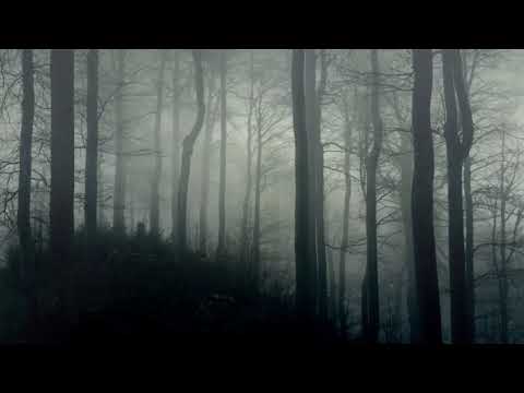 dark-ambience---horror-background-music-10-hours