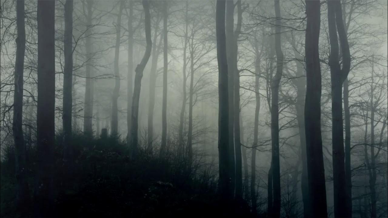 Dark Ambience - Horror Background Music 10 Hours - YouTube