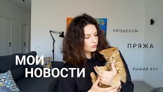 Что на спицах? • Новая пряжа и планы • Yana Korobova