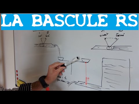 Vidéo: A Quoi Sert Un Marcheur à Bascule ?