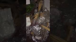 Nivht of Dumpster Diving in Richmond Virginia