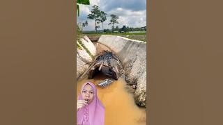 practical washing dishes in the river #shorts