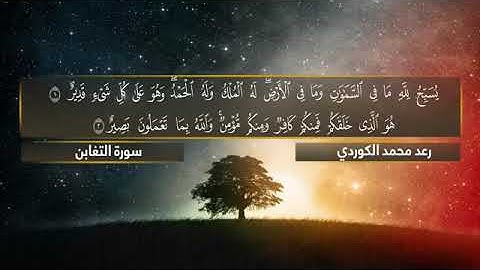 سورة التغابن بصوت القارئ رعد محمد الكردي