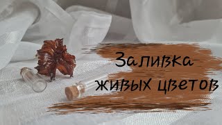 видео: Почему нельзя заливать смолой живые цветы | Работа с эпоксидной смолой картинка: Почему нельзя заливать смолой живые цветы | Работа с эпоксидной смолой