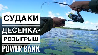 Рыбалка на левом берегу Киева. Джиговая, спиннинговая рыбалка на судака на Десенке в черте Киева.