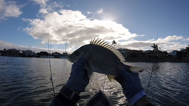 Raby Bay Canal Kayak Session With Soft Plastics.