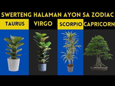 Video: Mga Halaman Para Sa Libra