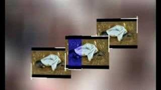 Dost Tv Iyi Haberler Spot