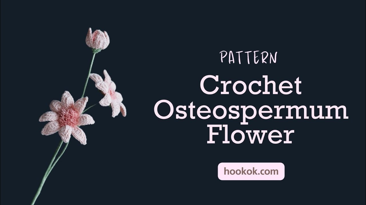 Crochet Osteospermum Flower