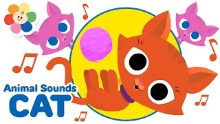 Animals for kids - Cat | Funny animal videos for kids By BabyFirst