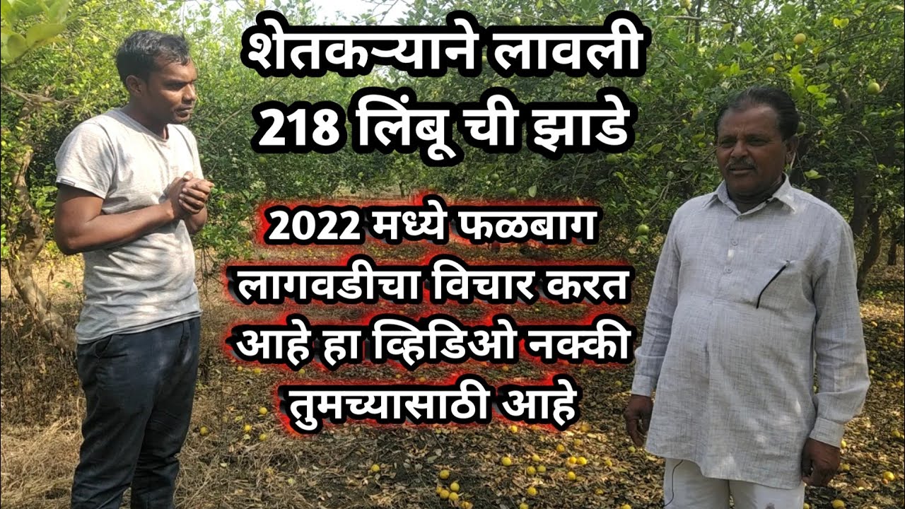 2024 मध्ये फळबाग लागवड चे नियोजन आहे तर हा व्हिडिओ नक्की पहा । लिंबू लागवड बद्दल सर्व माहिती #vlogs