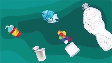 Rác thải nhựa nhiều hơn cá dưới đại dương???? Mối nguy hại từ rác thải nhựa