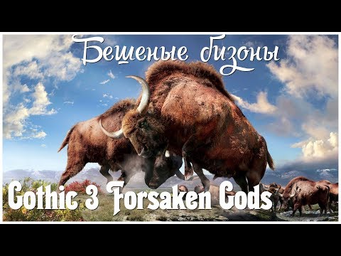 Видео: Gothic 3 Forsaken Gods   серия 4 "Бешеные бизоны" (OldGamer)