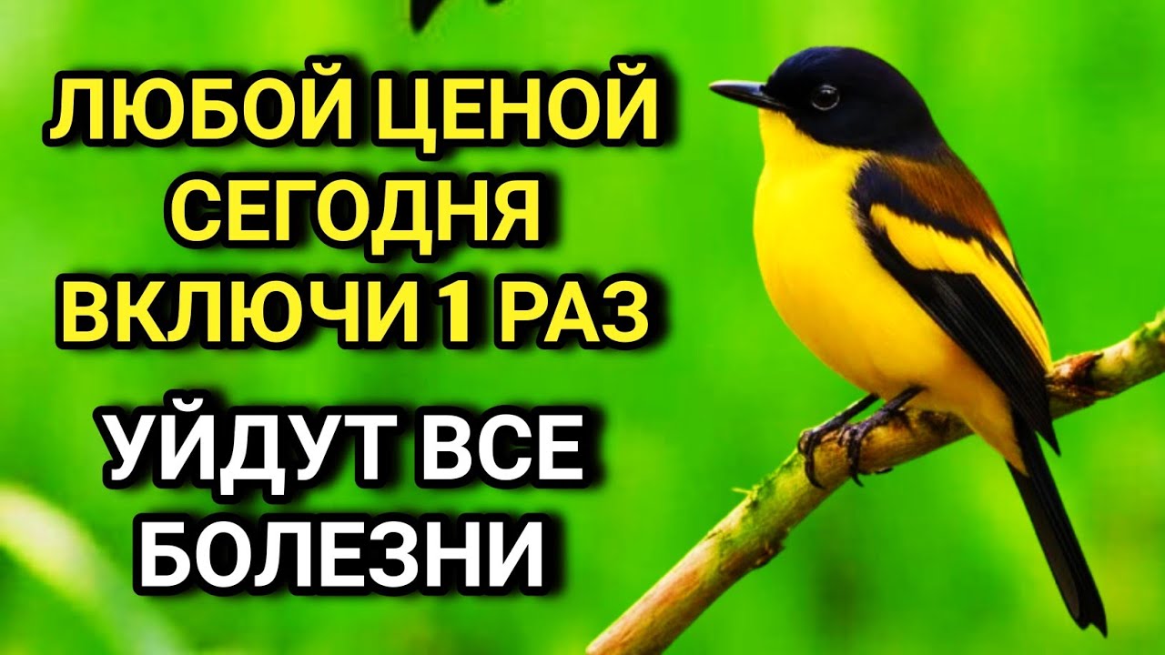 ЛЮБОЙ ЦЕНОЙ ВКЛЮЧИ 1 РАЗ! УЙДУТ ВСЕ БОЛЕЗНИ! Сильнейшая молитва об исцелении  🤲🔑💯