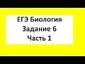 Задачи по генетике ЕГЭ Биология Задание 6 Часть 1