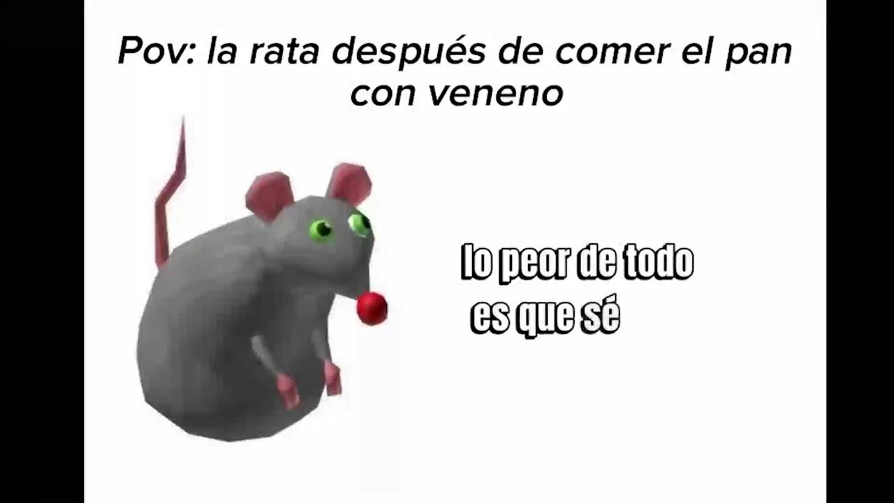 RATA DE 2 PATAS 🐭🧀 YouTube