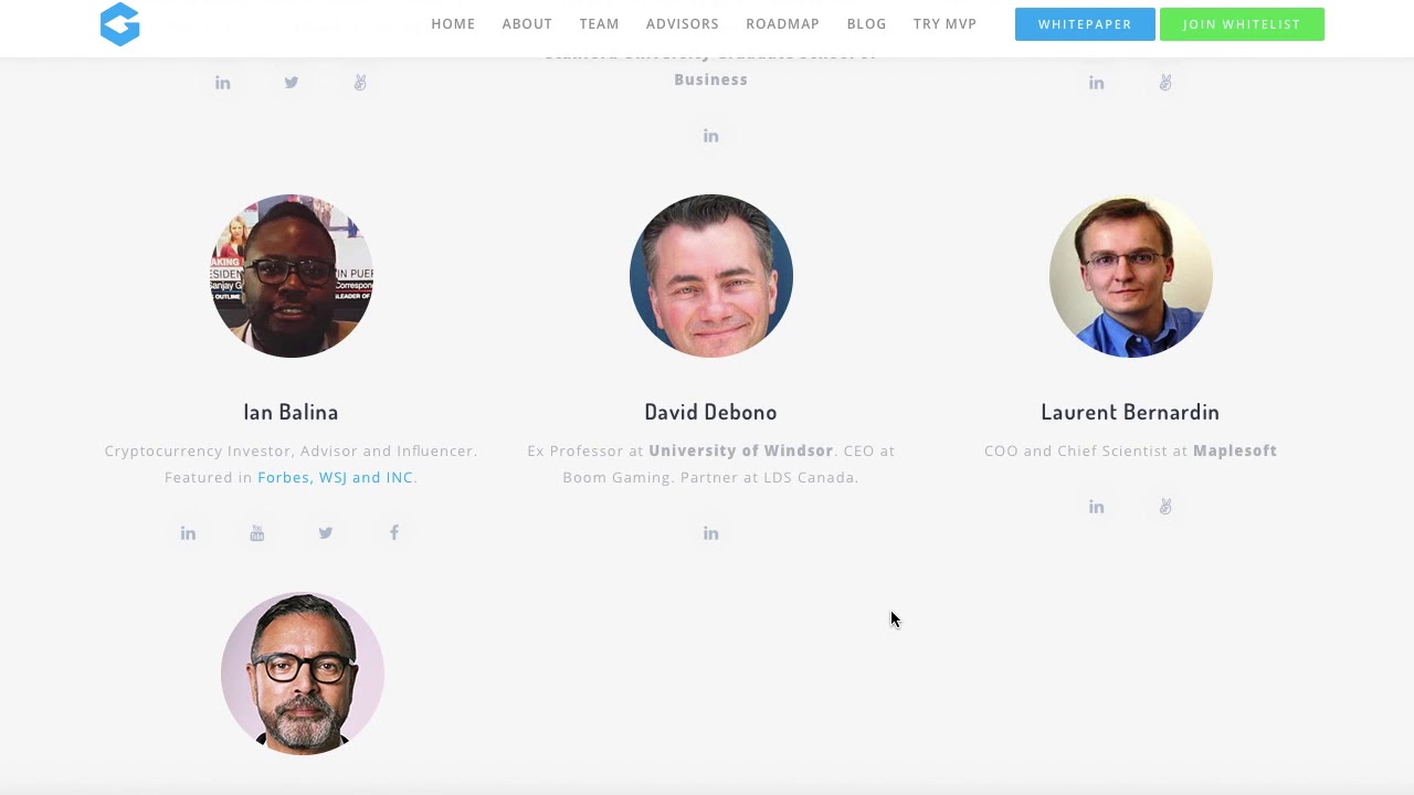 Gonetwork Ico,ICO Analysis: GoNetwork
