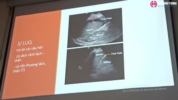 37. Siêu âm cấp cứu – ThS.BS Hồ Quốc Cường (SATQ ĐHYD)