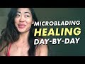 Microblading day-by-day review | Eyebrow healing process experience | 30 days | Eye Design NY