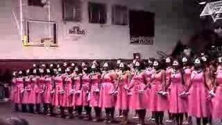 AKA probate show