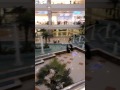 فلامنجو مول بجده 