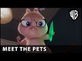 DC League of Super-Pets - Lulu - Warner Bros. UK &amp; Ireland