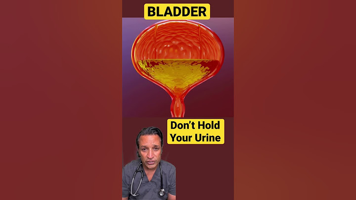 Dangers of Holding your Urine