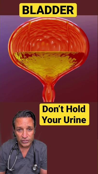 Dangers of Holding your Urine