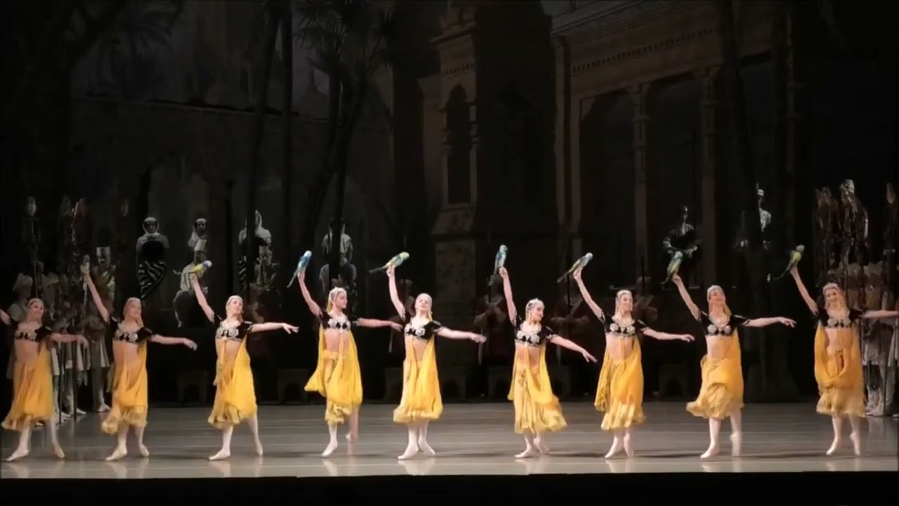 Parrot Dance: Mariinsky Ballet, La Bayadere Act 2