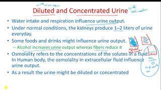 Urinary System- Part 5