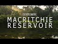 Hiking Singapore’s longest trail at Macritchie Reservoir | Simon Says