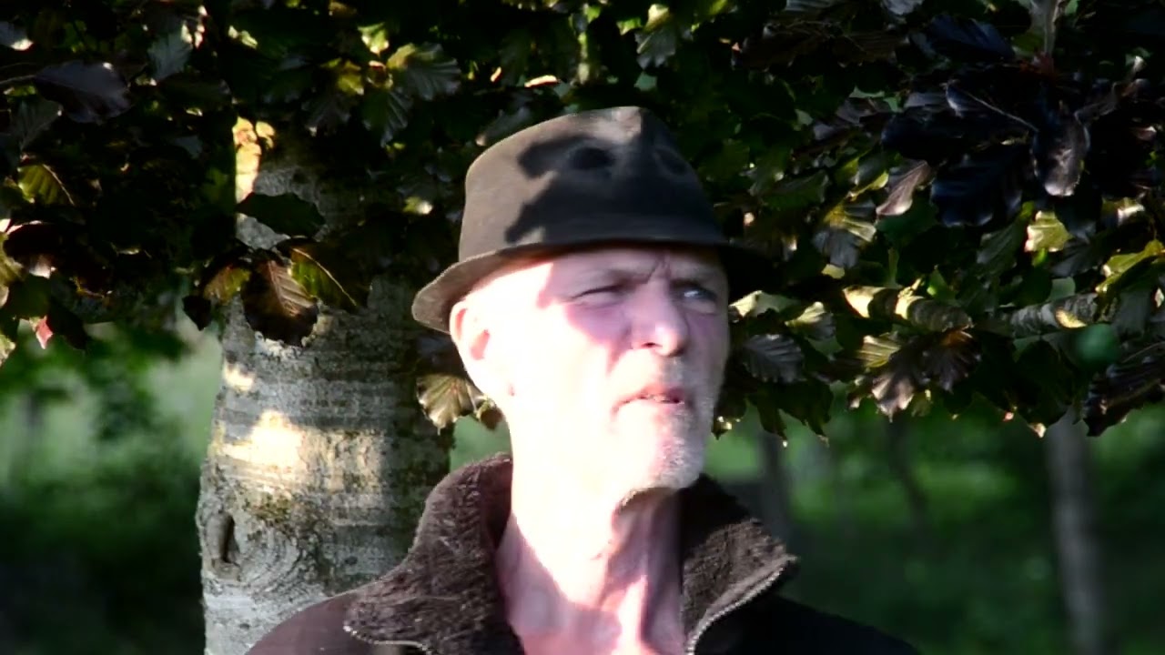 Sten Ahlvin - Fly maj en mobbe